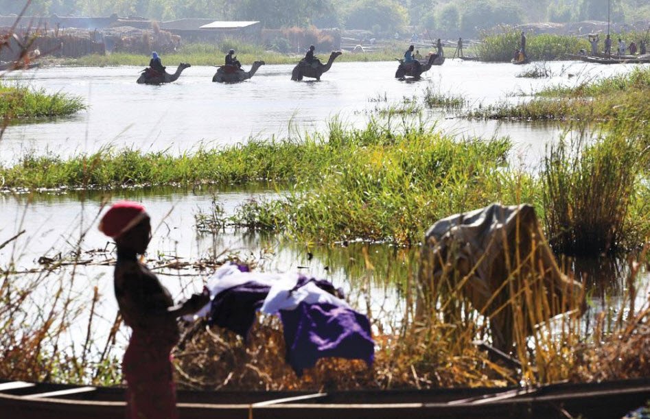 Lake Chad (Partially in Niger), Southeastern Niger, Niger